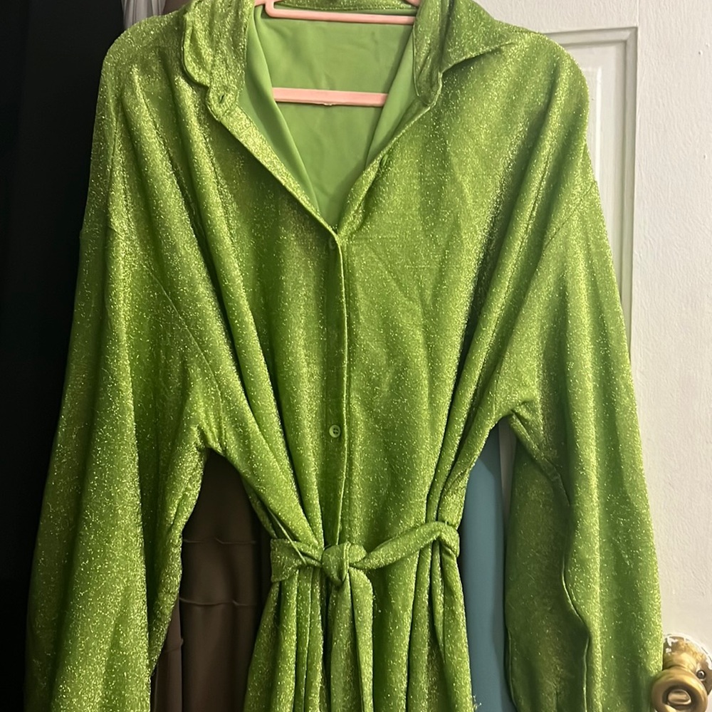 Fashion Nova green glittery button down dress